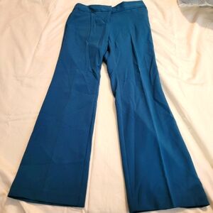 Blue Dressbarn pants